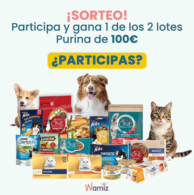 Multibrand - Juego Wamiz