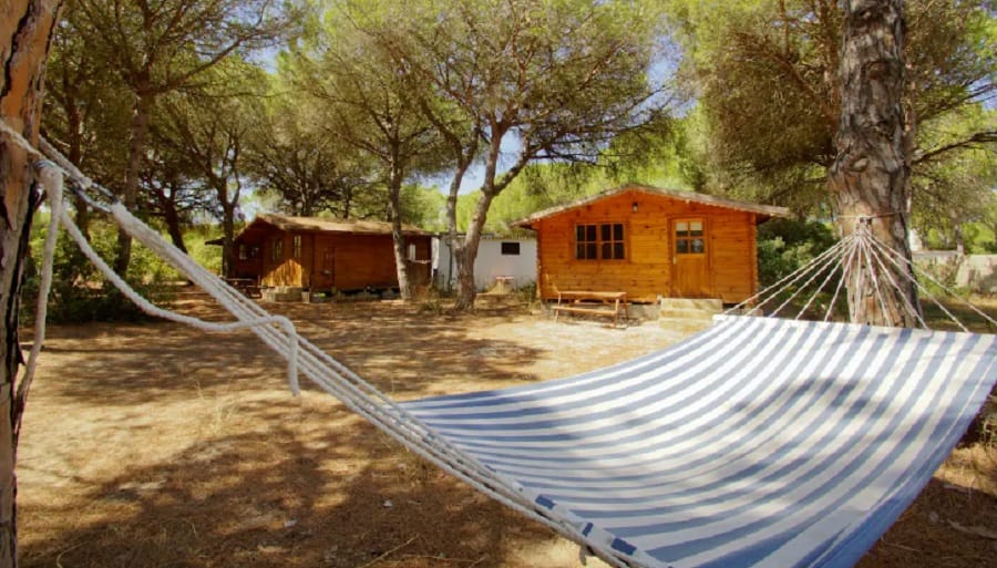 Camping que admiten perros en Cádiz: precios direcciones de todos los que hay