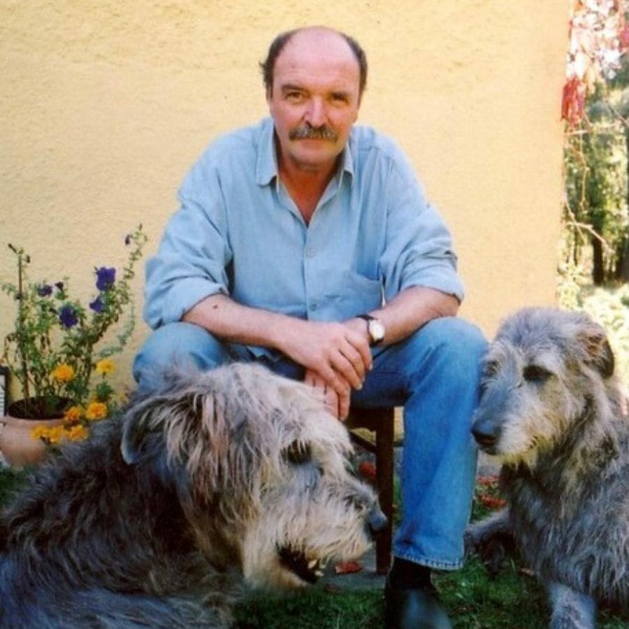 hombre junto a dos perros lobo irlandeses
