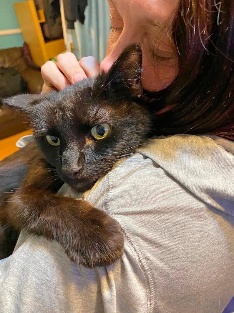 mujer abraza a su gato que lleva meses desaparecido