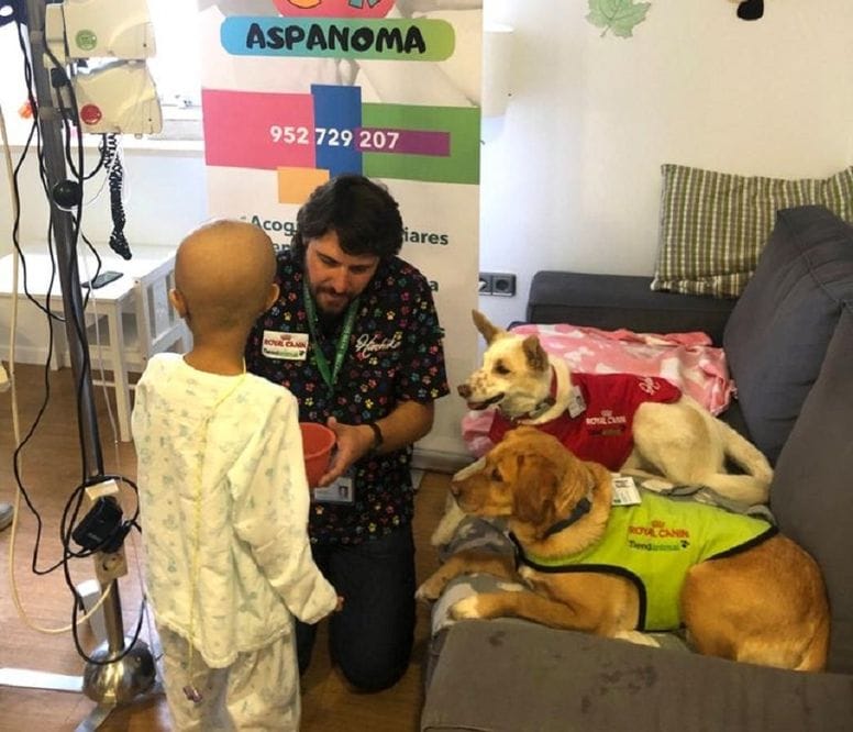 nino con cancer durante una terapia con dos perros