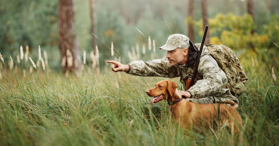 cazador con perro de caza