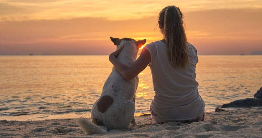 perro viendo atardecer en la playa junto a su dueña